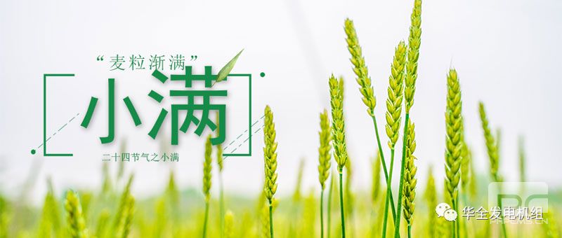 小滿時節熱情洋溢WF柴油發電機發貨正當時！